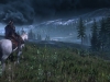 new_the_witcher_3_wild_hunt_horse