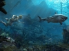 acga_sp_51_underwater_sharkalert