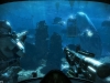 cod-ghosts_into-the-deep-current-gen
