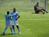 fifa13_ng_balotelli_celebration_lowres_wm