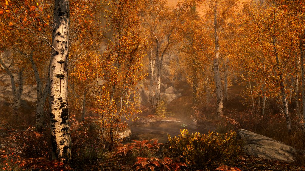 FallForest_1475742283