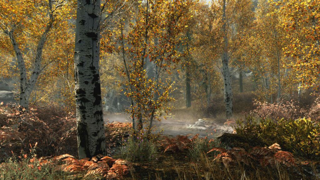 SkyrimSpecialEditionFallForest_1465779409