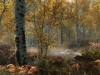 SkyrimSpecialEditionFallForest_1465779409