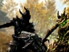 SkyrimSpecialEditionSpriggan_1465779788