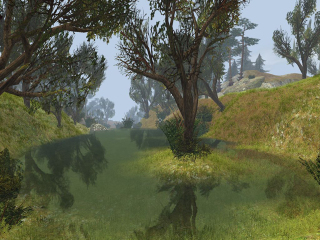 Screen Shot