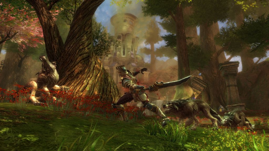 Screen Shot