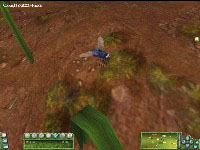Screen Shot
