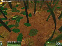 Screen Shot
