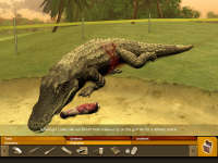 Screen Shot