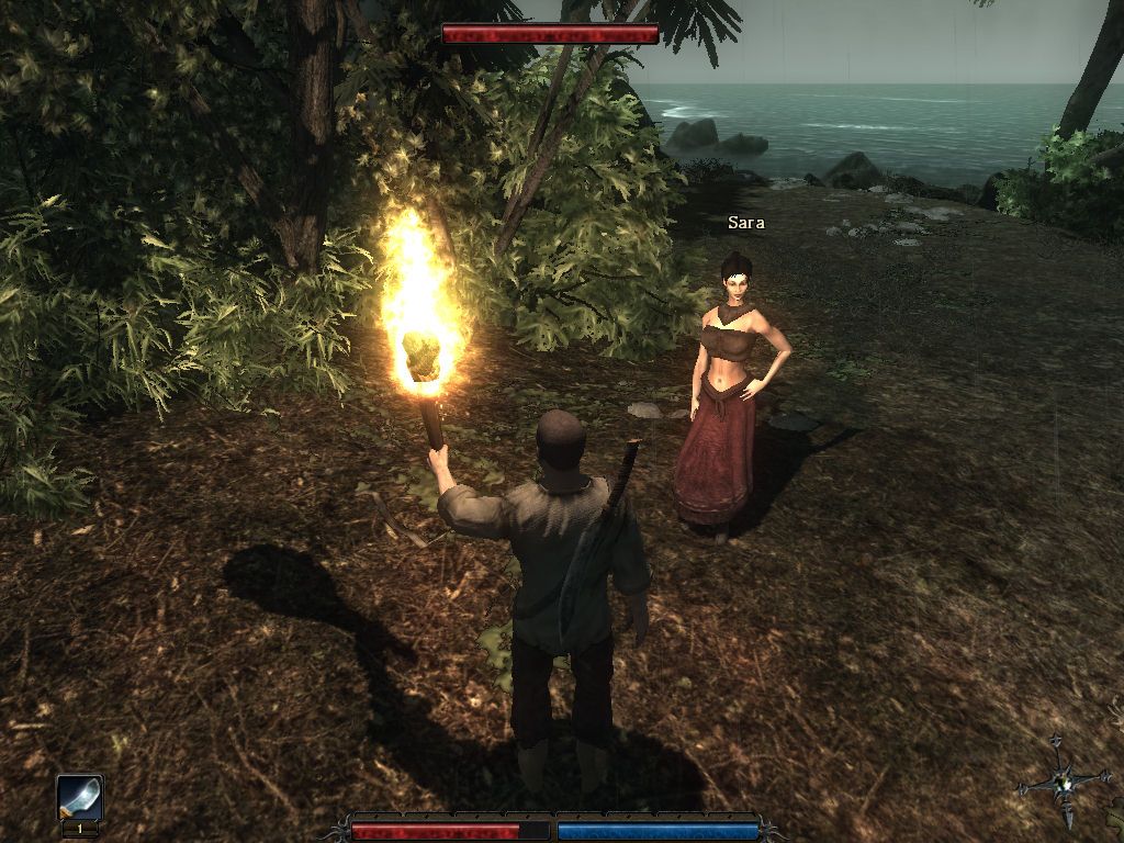 Screen Shot