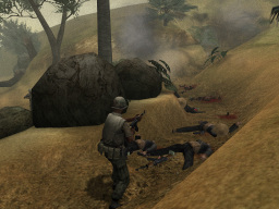 Screen Shot